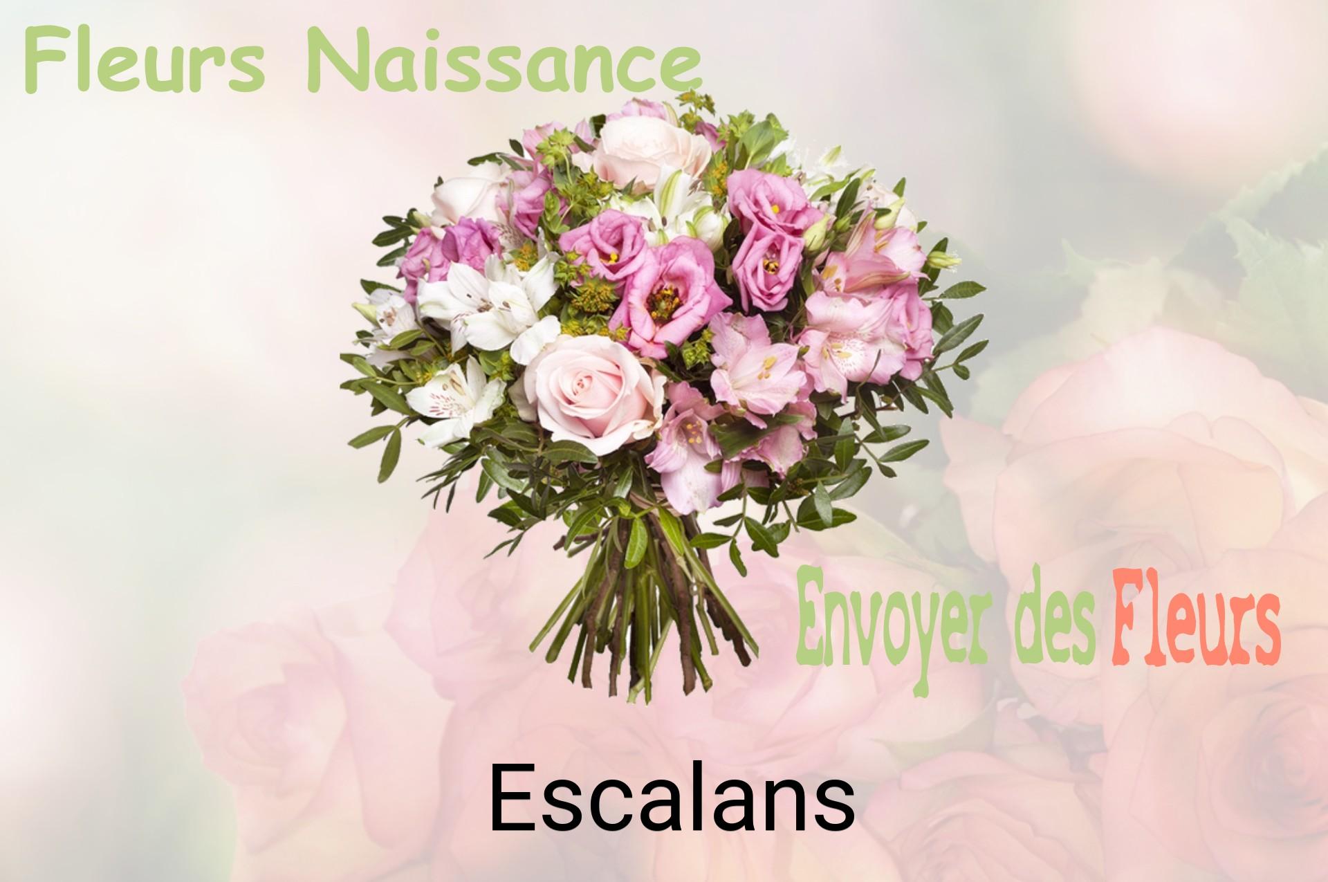 Bouquet de fleurs de naissance livré à Escalans