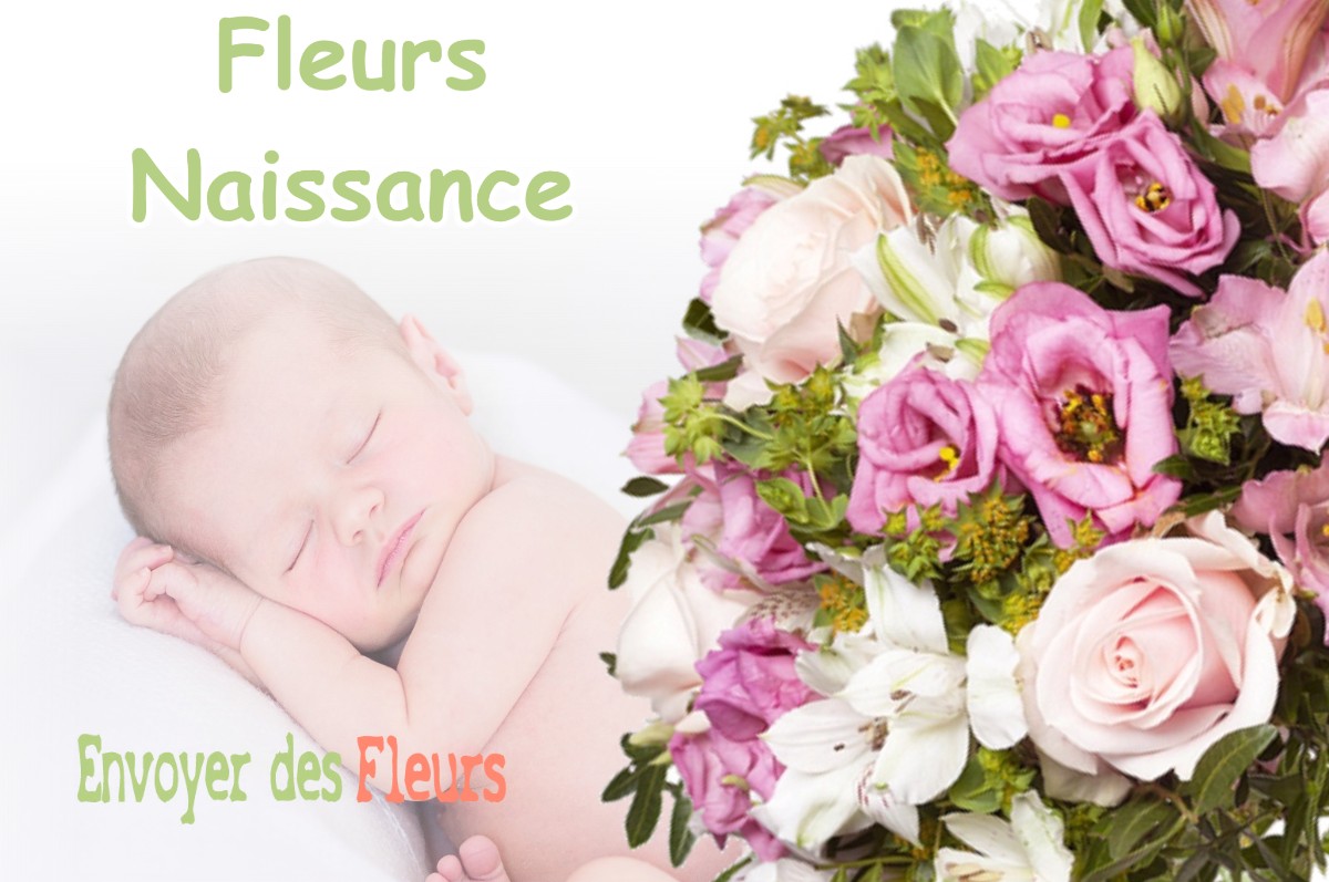 lIVRAISON FLEURS NAISSANCE à ESCALANS